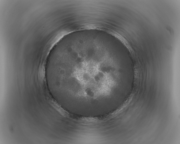 X0000115051023200911091421
