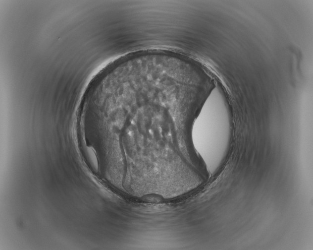 X0000115051024200911091421