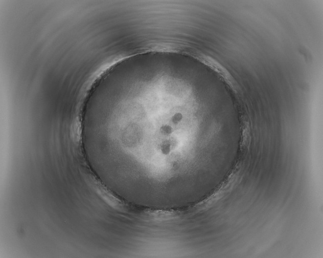 X0000115051027200911091421