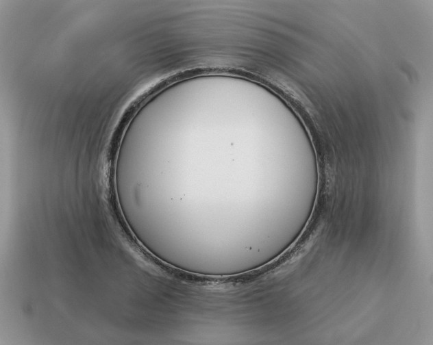 X0000115051029200911091421