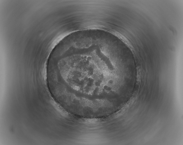 X0000115051031200911091421