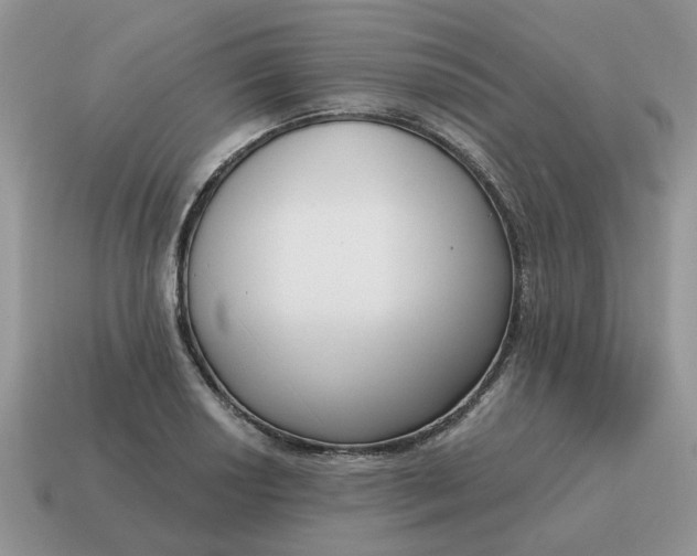 X0000115051034200911091421