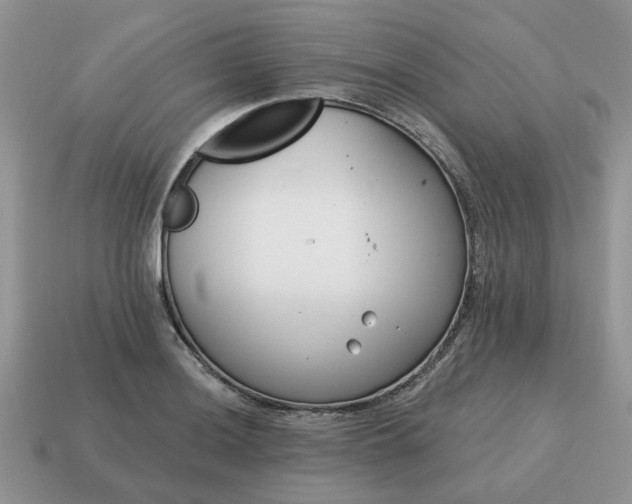 X0000115051036200911091421