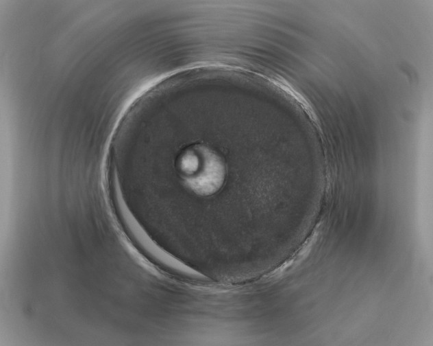 X0000115051037200911091421