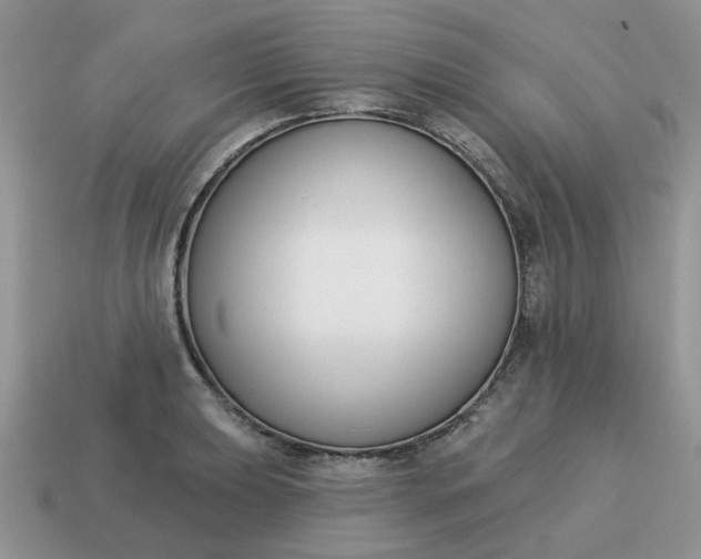 X0000115051039200911091421