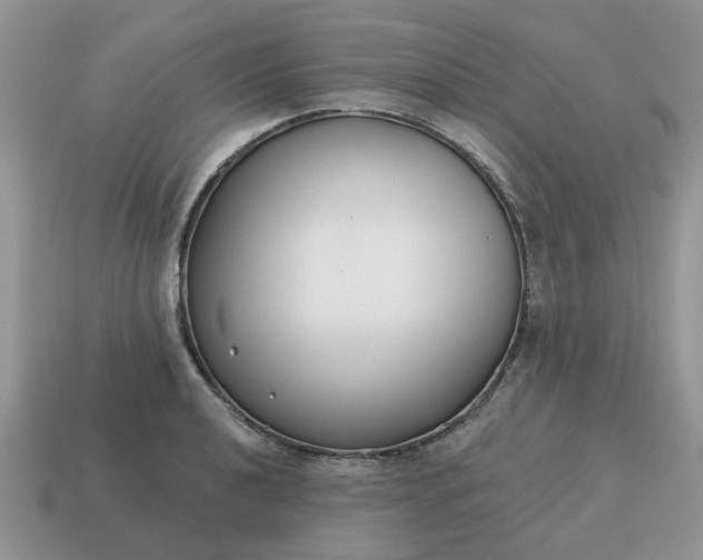 X0000115051040200911091421