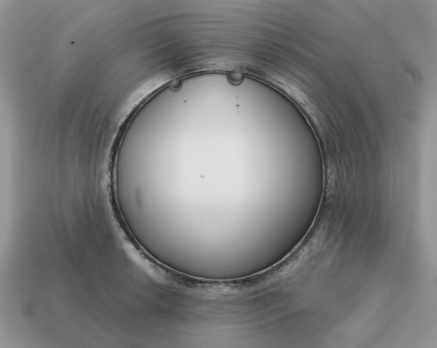 X0000115051042200911091421