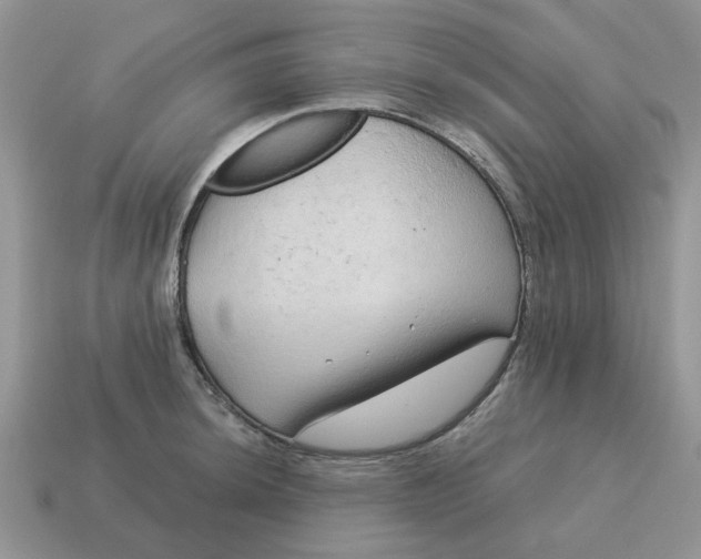 X0000115051044200911091421