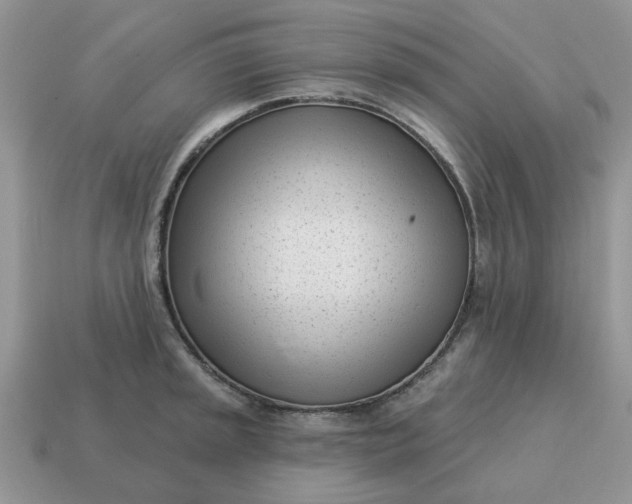 X0000115051045200911091421