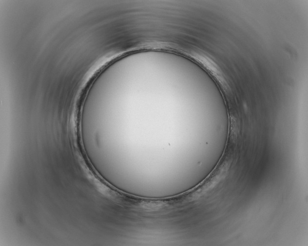 X0000115051046200911091421