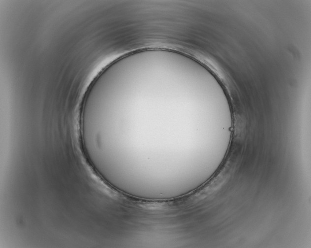 X0000115051048200911091421
