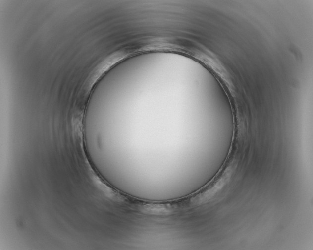 X0000115051049200911091421