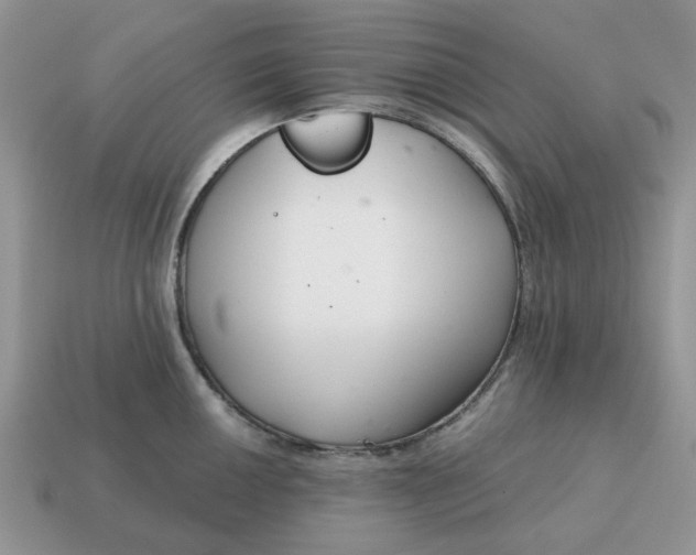 X0000115051050200911091421