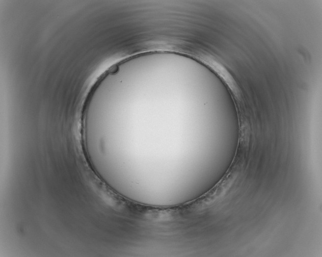 X0000115051051200911091421