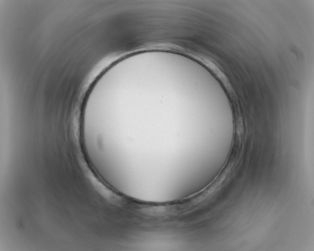 X0000115051054200911091421