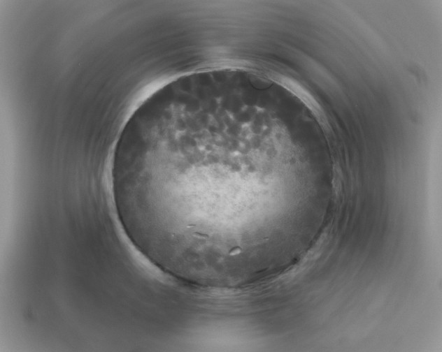 X0000115051055200911091421