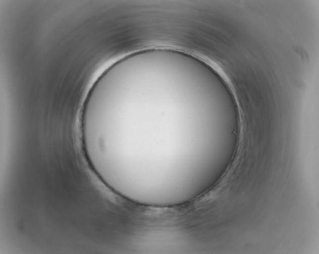 X0000115051056200911091421