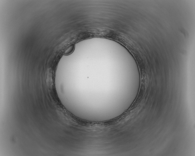 X0000115051058200911091420