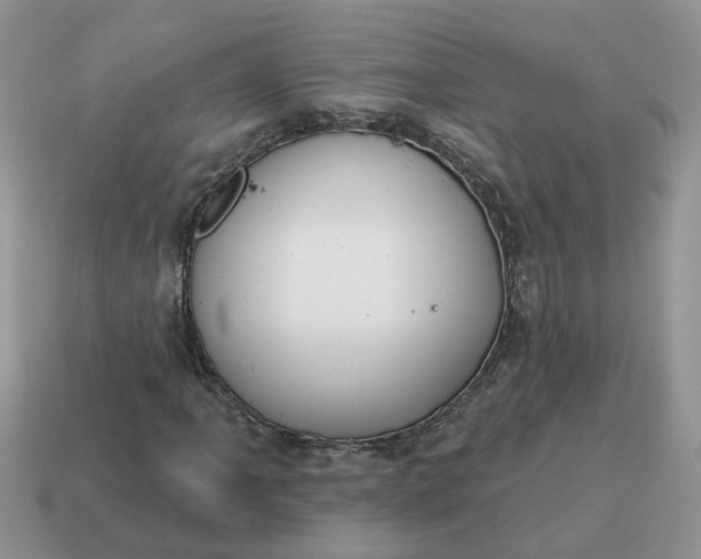 X0000115051061200911091420