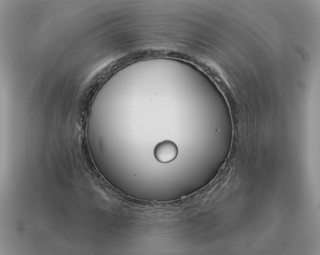 X0000115051064200911091420