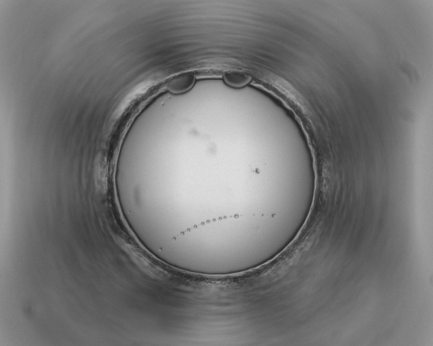 X0000115051067200911091420