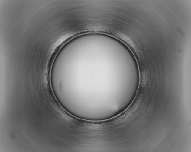 X0000115051071200911091420