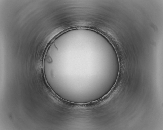 X0000115051073200911091420
