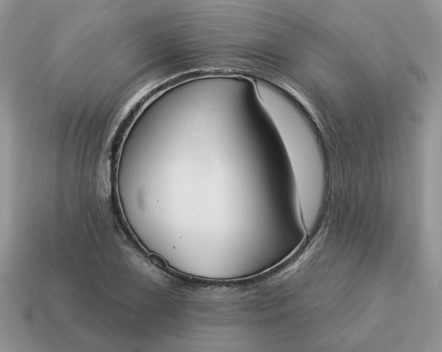 X0000115051075200911091420