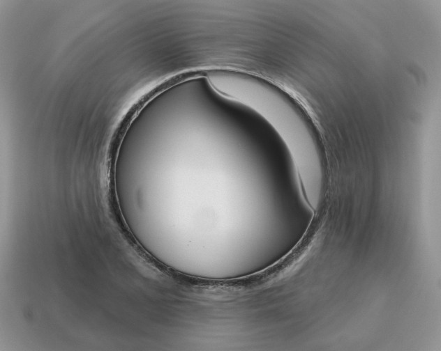X0000115051077200911091420