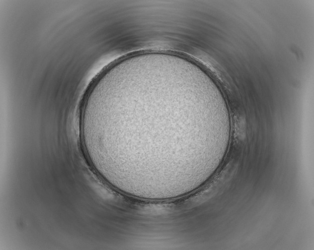 X0000115051078200911091420