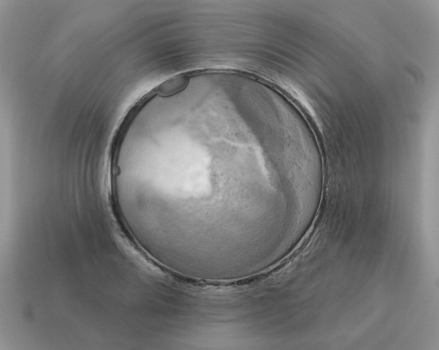 X0000115051080200911091420