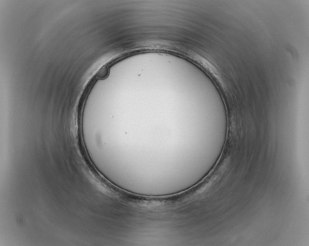 X0000115051082200911091420