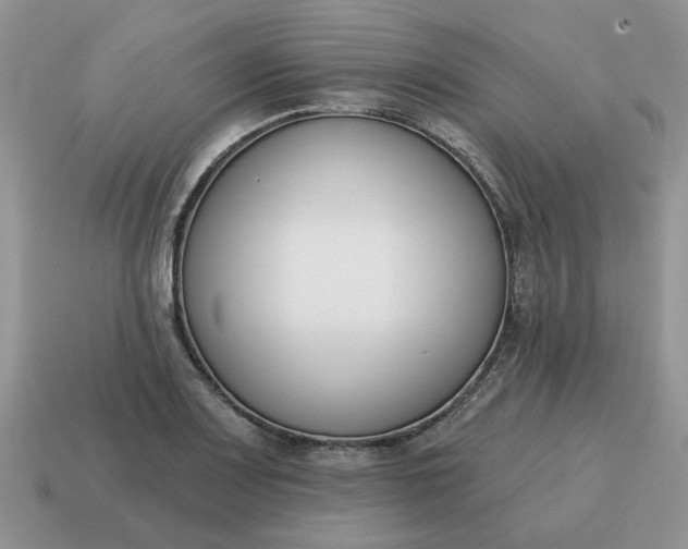 X0000115051083200911091420