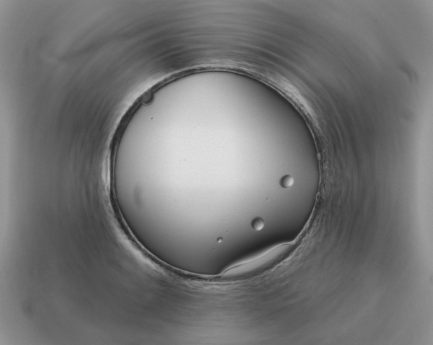 X0000115051084200911091420