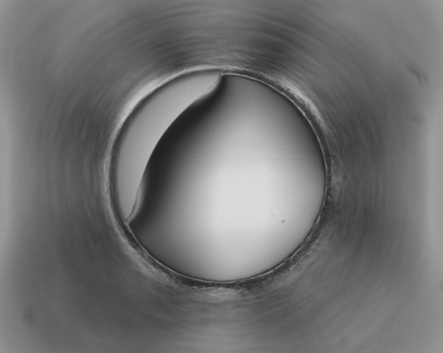 X0000115051085200911091420