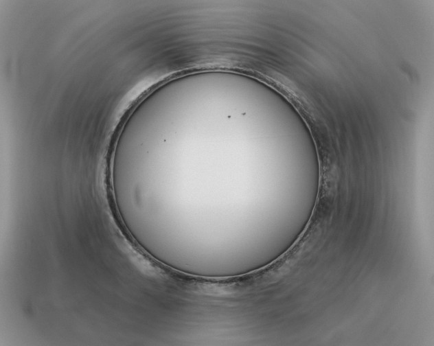 X0000115051086200911091420