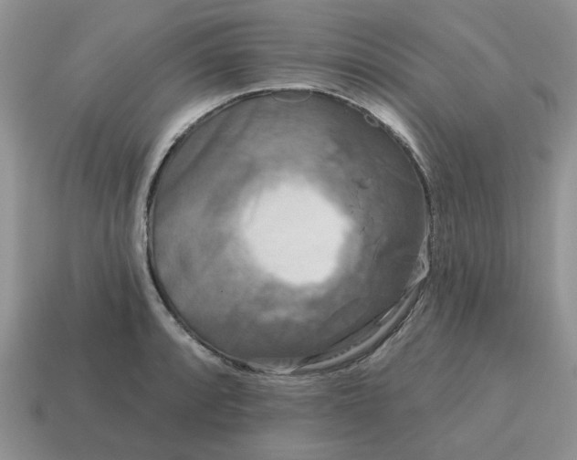 X0000115051088200911091420