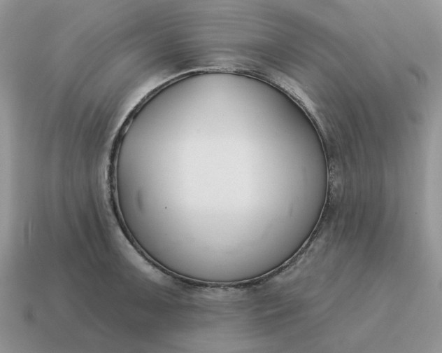 X0000115051091200911091420