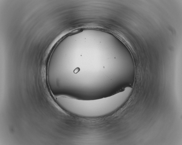 X0000115051092200911091420