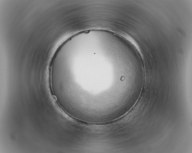 X0000115051096200911091420
