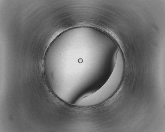 X0000115051097200911091420