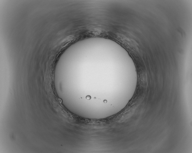 X0000115051105200911091419