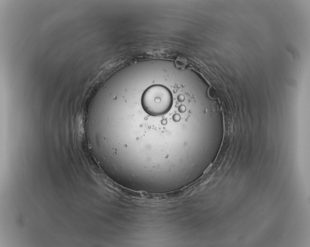 X0000115051106200911091419