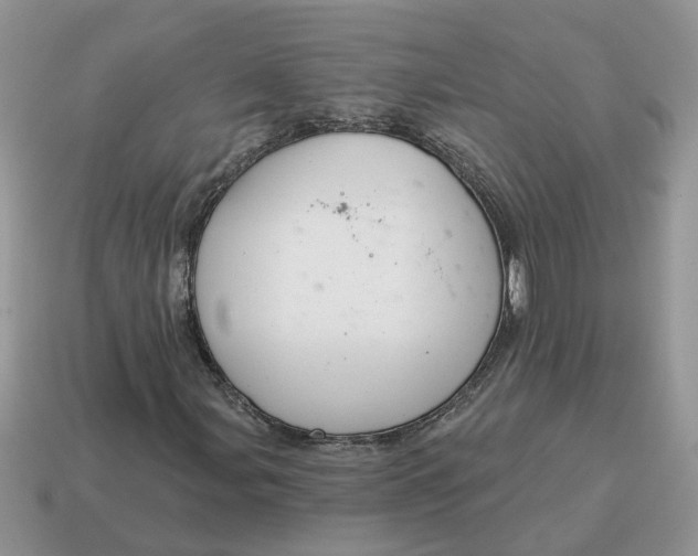 X0000115051107200911091419