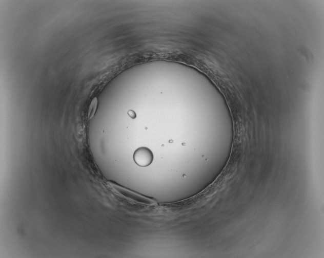 X0000115051109200911091419