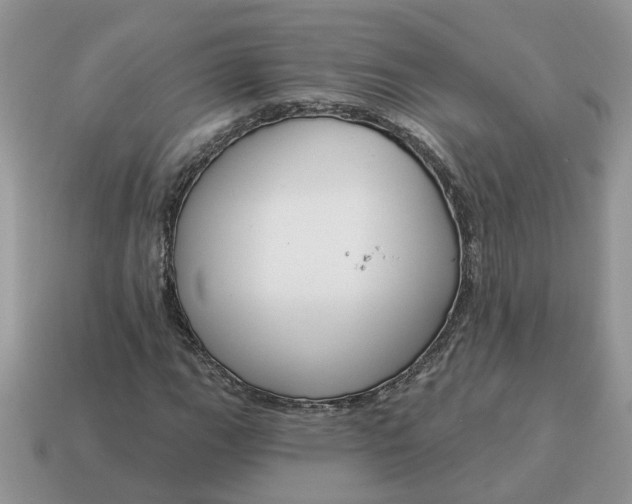 X0000115051111200911091419