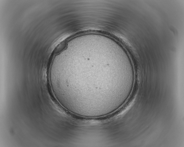 X0000115051113200911091419