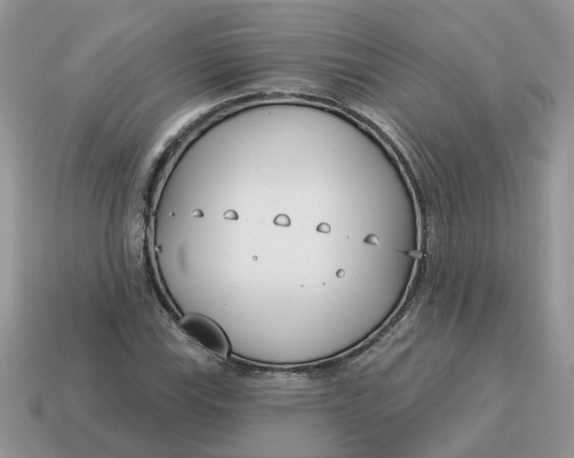 X0000115051115200911091419