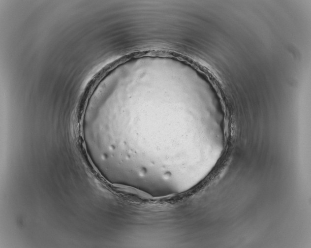 X0000115051117200911091419