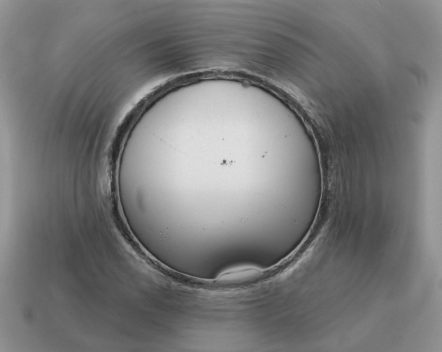 X0000115051118200911091419